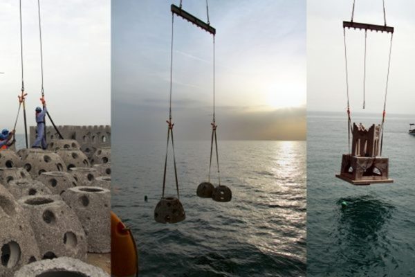 Site selection and designing, manufacturing, deploying and monitoring of 2620 artificial reef units for the Government of the Kingdom of Bahrain.