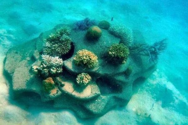 Supply of patented Majfara and Seamount units, along with the Jebel unit for trial studies associated with coral rehabilitation works in the Red Sea.