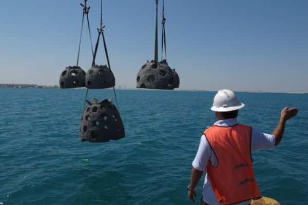 Placement of over 110 Majfara and Reef Balls™ units for the Muharraq Sewage Treatment Company (MSTP) as part of their Corporate Social Responsibility Programme.