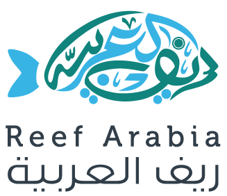 Reef Arabia